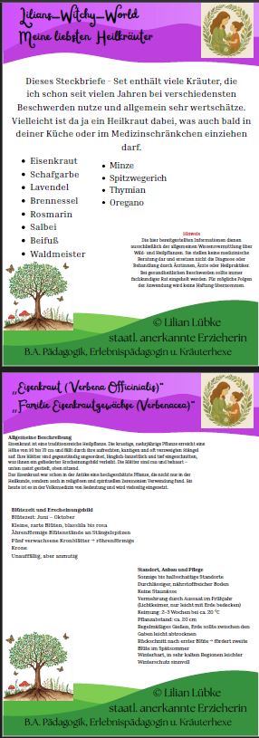 Beispiel Steckbriefe